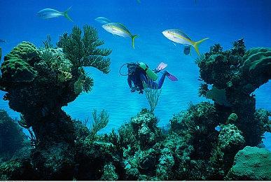 SNK新作《饿狼传说：群狼之城》DLC角色“安迪·博加德”将于6月24日上线！角色预告短片公开！